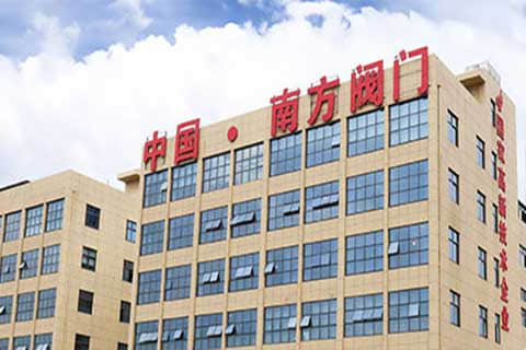 南方閥門集團外貿獨立站建設與谷歌SEO/SEM